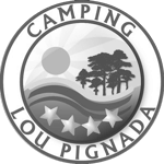 notre consultant SEO à Bayonne booste la visibilité du camping lou pignada