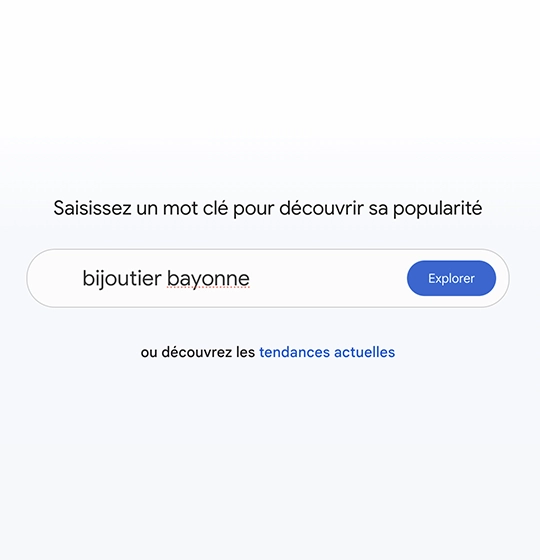 référencement bayonne