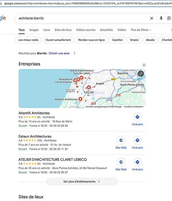 pack local Google Maps pour une recherche à Biarritz