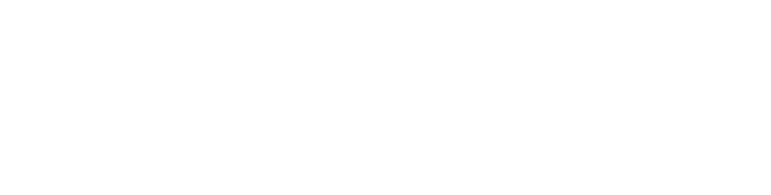 logo Ciela Village