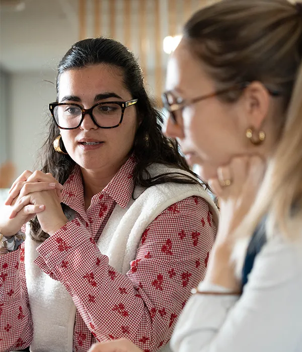 expert consultant seo